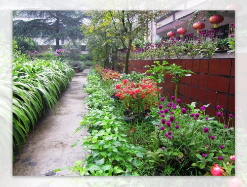 丽水城市绿化护栏规范