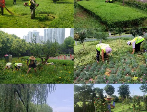 博鱼boyu官方网站：安阳园林绿化工程管理事务中心