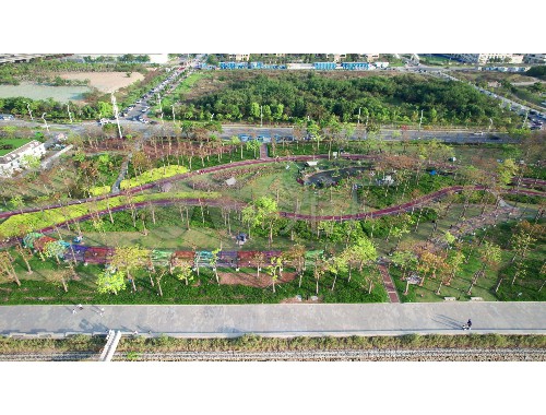 博鱼boyu：北辰城市绿化带植物叫什么