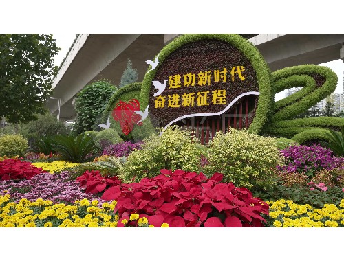 boyu博鱼中国官方网站：市政道路绿化工程报价单
