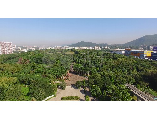博鱼官方网站：应城城市绿化怎么承接