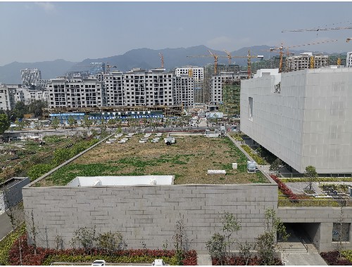 常德全国最大绿化树苗批发市场是哪里