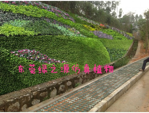 娄底市容绿化管理局