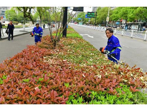 博鱼boyu官方网站：咸宁桥梁绿化工程招标
