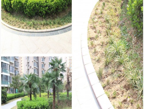 博鱼官方网站：新疆地区绿化工程