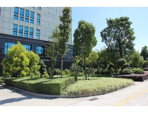 博鱼中国官网：烟台园区园林绿化工程