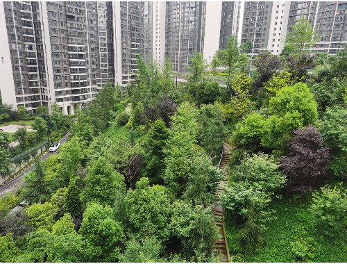 博鱼boyu登录入口：夏茂绿化工程